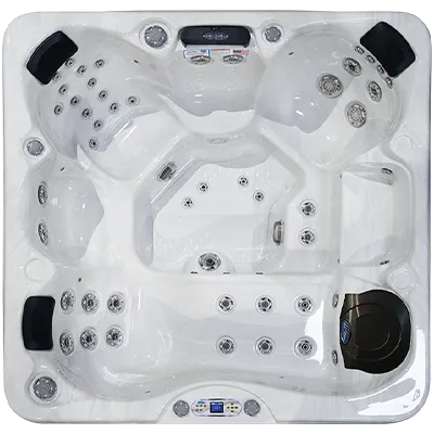 Avalon EC-849L hot tubs for sale in Des Moines