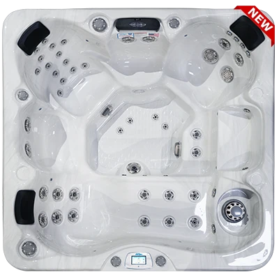 Avalon-X EC-849LX hot tubs for sale in Des Moines