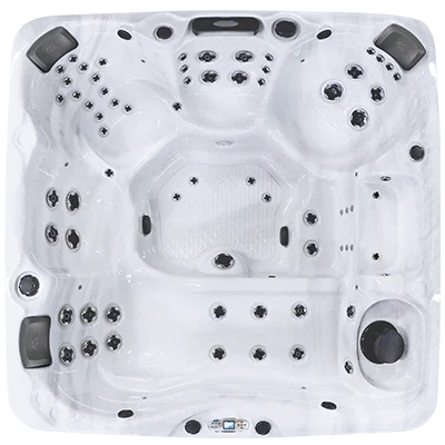 Avalon EC-867L hot tubs for sale in Des Moines