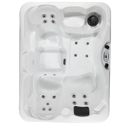 Kona PZ-519L hot tubs for sale in Des Moines